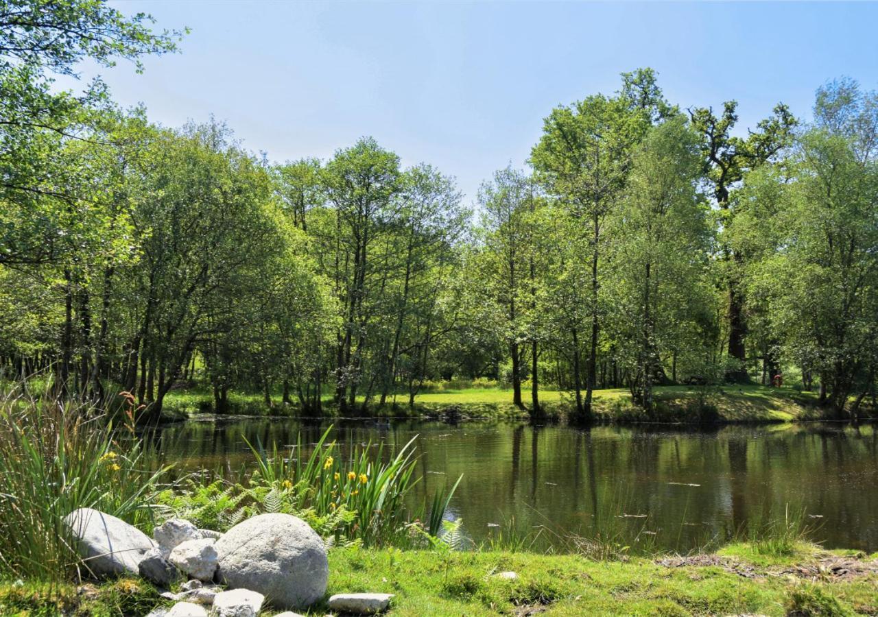River Lodge - Cornwall Cardinham Екстериор снимка