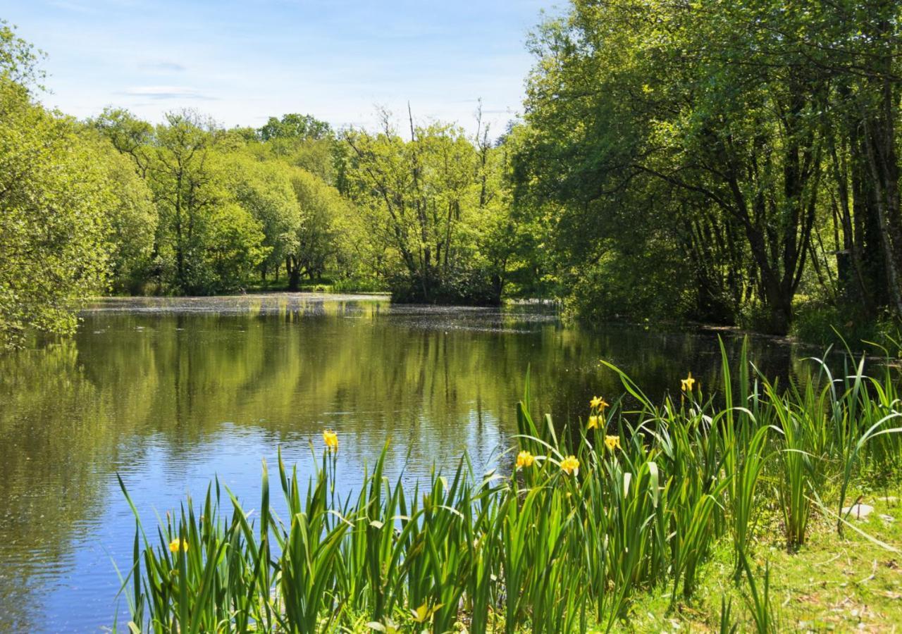 River Lodge - Cornwall Cardinham Екстериор снимка