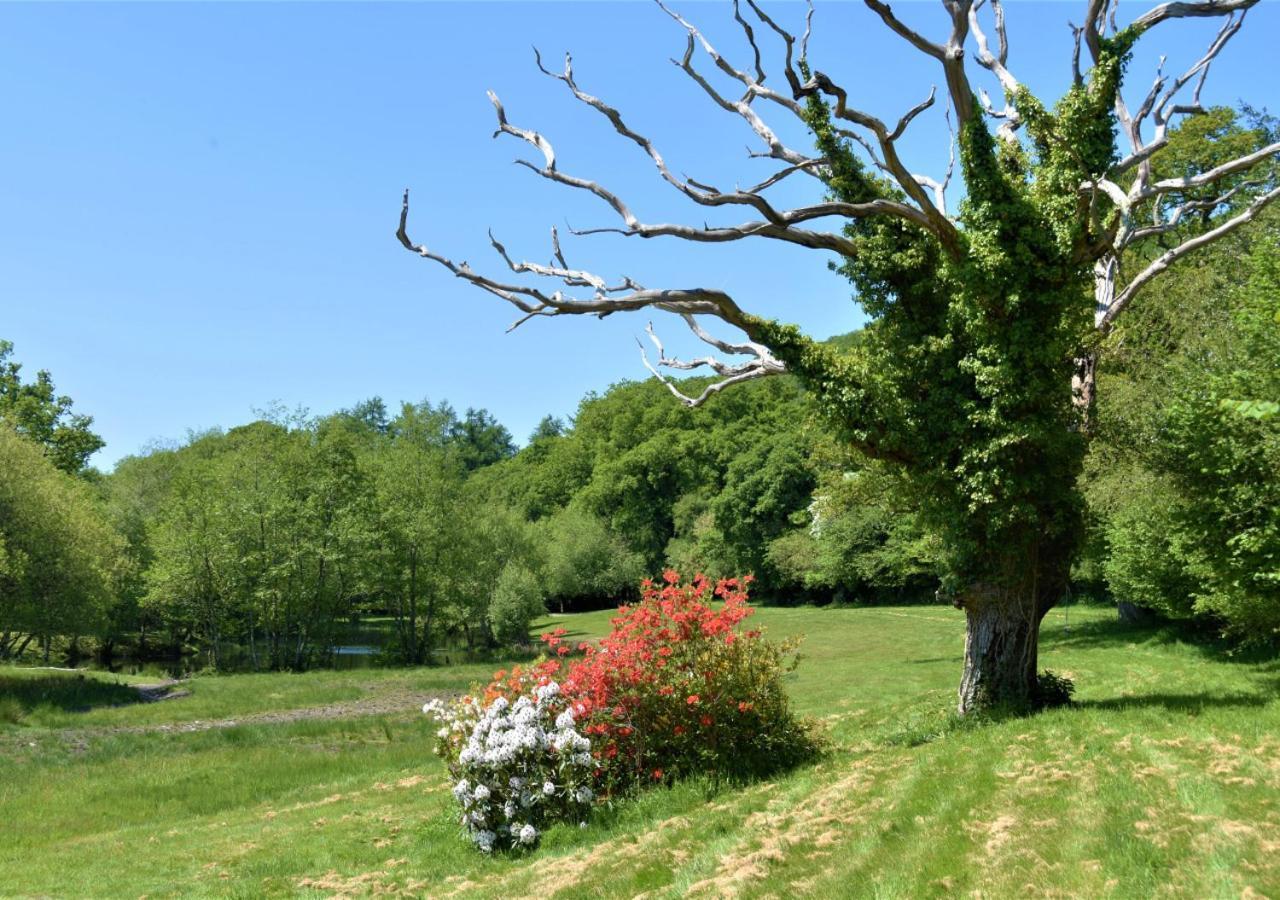 River Lodge - Cornwall Cardinham Екстериор снимка